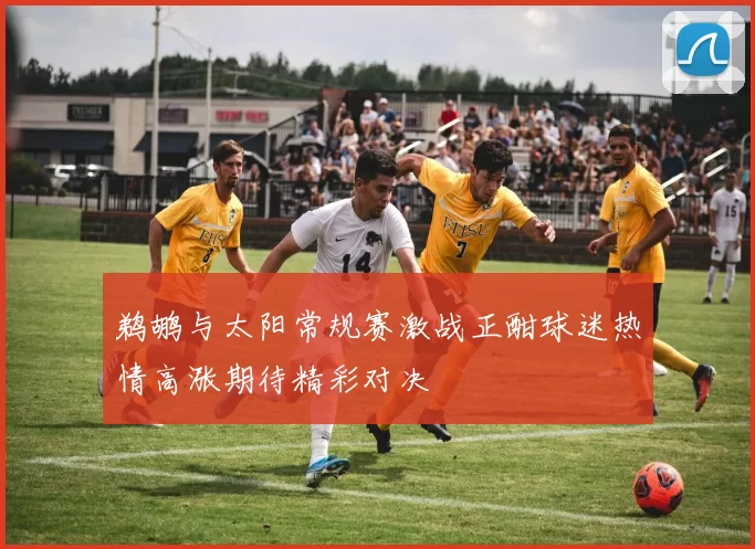 鹈鹕与太阳常规赛激战正酣球迷热情高涨期待精彩对决