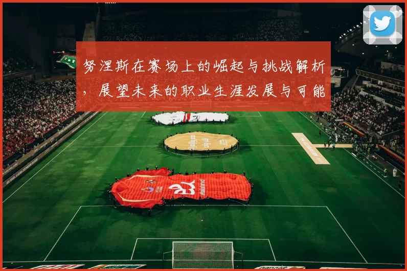 努涅斯在赛场上的崛起与挑战解析，展望未来的职业生涯发展与可能性