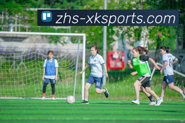 XK星空体育平台生态图