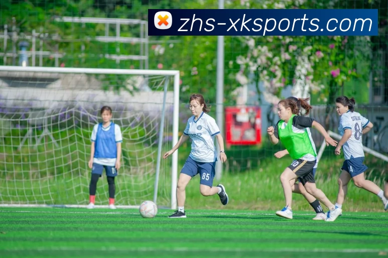 XK星空体育APP 封面图